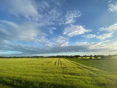 Naturlandschaft in der Nähe der Ferienwohnung
