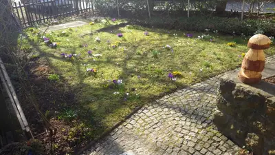 Ein Garten an der Unterkunft Ferienhaus Frieda