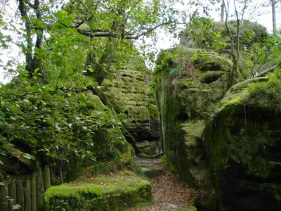 Ein Garten an der Unterkunft chicke Ferienwohnung in Struppen
