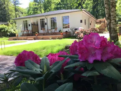 Ein Garten an der Unterkunft Little Suite Apartments