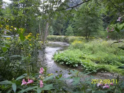Naturlandschaft in der Nähe der Ferienwohnung
