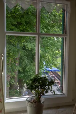 Ein Garten an der Unterkunft Elbschlösschen Refugium