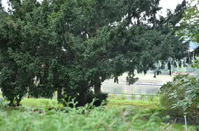 Ein Garten an der Unterkunft Ferienwohnung an der Elbe