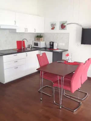 Küche/Küchenzeile in der Unterkunft Apartment am Zwingerteich