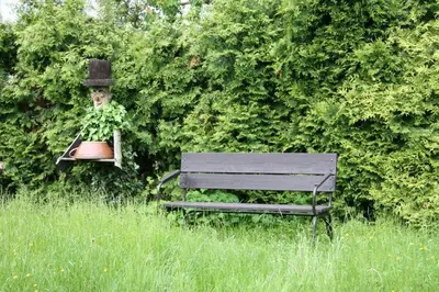 Ein Garten an der Unterkunft Ferienhaus Maxen