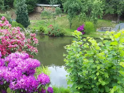 Ein Garten an der Unterkunft Ferienwohnung Ritscher in Lichtenhain 1