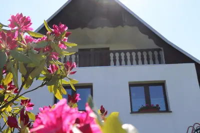 Ein Garten an der Unterkunft Pension Hubertushof Monteurunterkunft