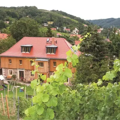 Weingut Mariaberg