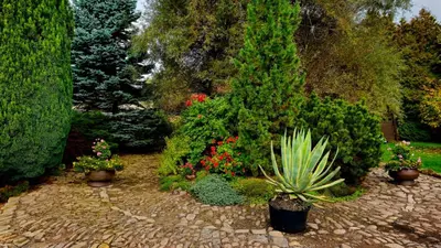 Ein Garten an der Unterkunft Richzenhainer-Hof