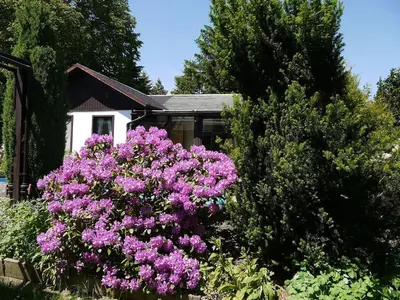 Ein Garten an der Unterkunft Ferienhaus Maxen