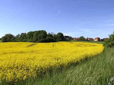 Naturlandschaft in der Nähe des Ferienhauses