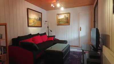 TV/Unterhaltungsangebot in der Unterkunft Ferienhaus Maxen