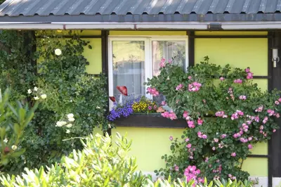 Ein Garten an der Unterkunft Annis- Romantikhäuschen