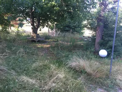 Ein Garten an der Unterkunft Pension Elbkiosk