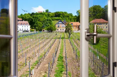 Ein Garten an der Unterkunft Weingut Haus Steinbach