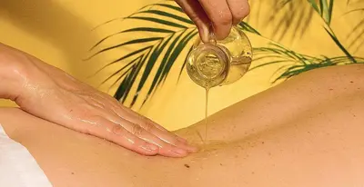 Spa und/oder Wellnesseinrichtungen in der Unterkunft Ferienhaus 