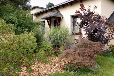 Ein Garten an der Unterkunft Ferienhaus 