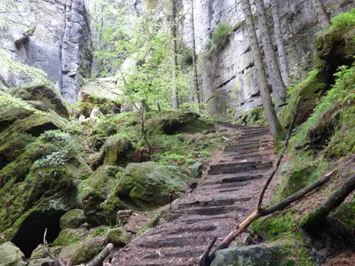 Naturlandschaft in der Nähe der Ferienwohnung