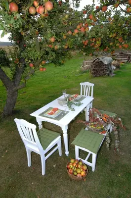 Ein Garten an der Unterkunft Heidepension Anja