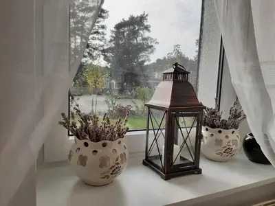 Ein Garten an der Unterkunft Pension Mark