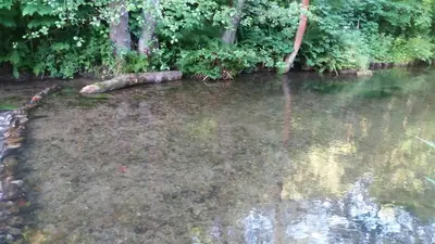 Naturlandschaft in der Nähe des Ferienhauses