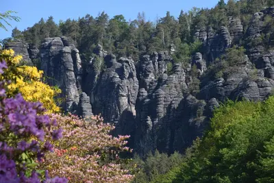Naturlandschaft in der Nähe der Ferienwohnung