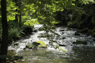 Naturlandschaft in der Nähe des Ferienhauses