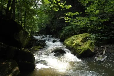 Naturlandschaft in der Nähe des Privatzimmers