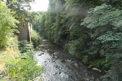 Naturlandschaft in der Nähe des Privatzimmers