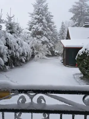 Waldhaus St. Egidien im Winter