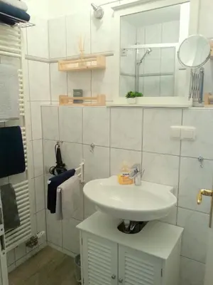 Ein Badezimmer in der Unterkunft Loft im Turmhaus am Weissen Hirsch