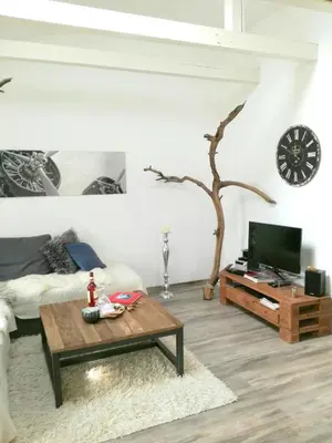 TV/Unterhaltungsangebot in der Unterkunft Loft im Turmhaus am Weissen Hirsch