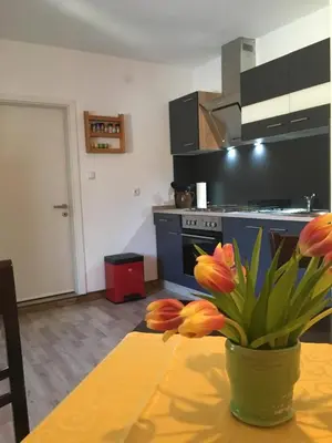 Küche/Küchenzeile in der Unterkunft Ferienwohnung Richtermühle