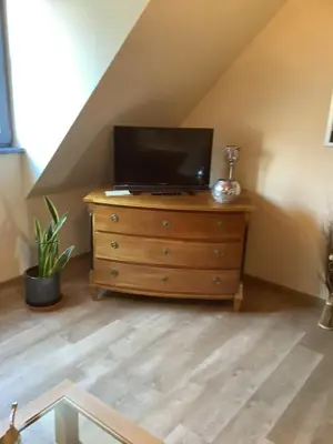 TV/Unterhaltungsangebot in der Unterkunft Ferienwohnung Himmel und Hölle