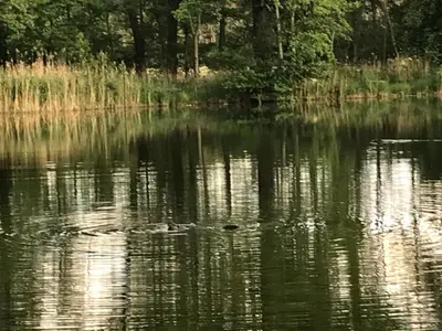 Naturlandschaft in der Nähe of country house