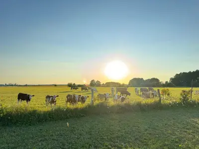 Naturlandschaft in der Nähe der Ferienwohnung