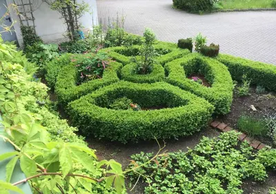 Ein Garten an der Unterkunft Wohnen beim Kunsthandwerker