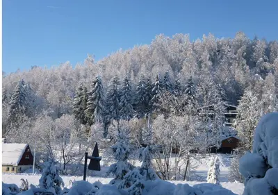 Wohnen beim Kunsthandwerker im Winter
