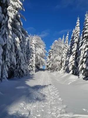 Ferienwohnung Renner im Winter
