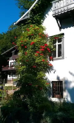 Ein Garten an der Unterkunft Bilz-Pension