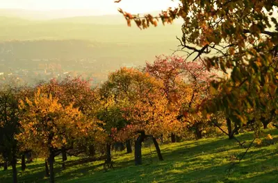 Naturlandschaft in der Nähe der Ferienwohnung