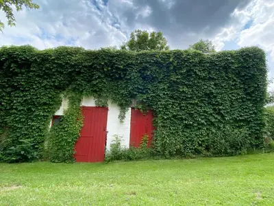 Ein Garten an der Unterkunft Ferienhaus Sohrmühle