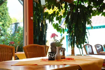 Ein Garten an der Unterkunft Hotel Arcus