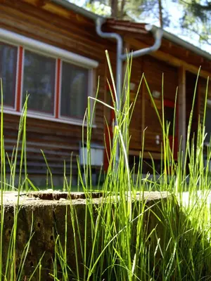 Ein Garten an der Unterkunft ZirkelsteinResort gGmbH