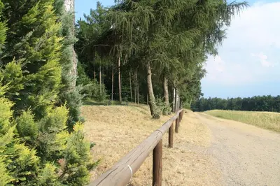 Naturlandschaft in der Nähe der Pension