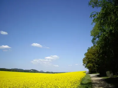 Naturlandschaft in der Nähe der Pension