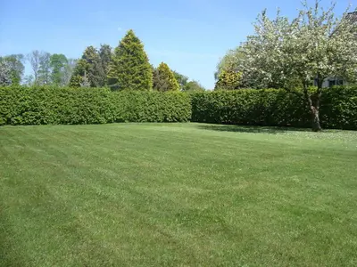 Ein Garten an der Unterkunft Ferienwohnung Zschornack