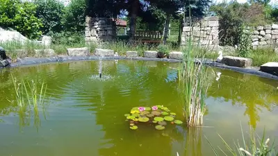 Ein Garten an der Unterkunft 