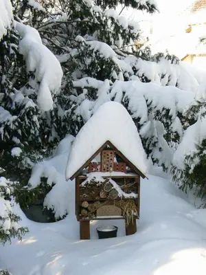 Zimmervermietung Heide Fiege im Winter