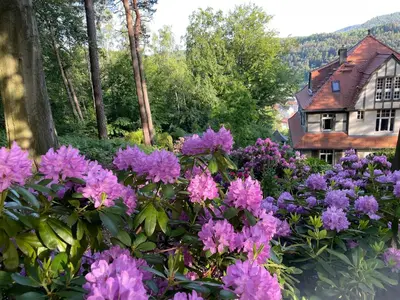 Naturlandschaft in der Nähe der Ferienwohnung